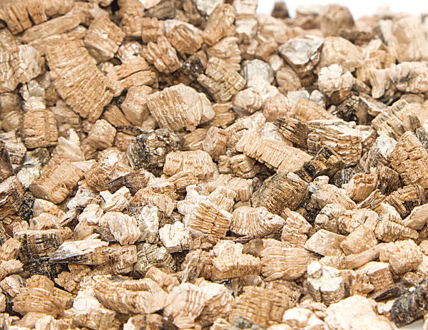 Close-up of brown wood chips or bark mulch spread in a garden bed